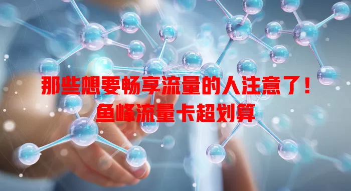 那些想要畅享流量的人注意了！鱼峰流量卡超划算