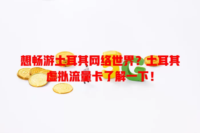 想畅游土耳其网络世界？土耳其虚拟流量卡了解一下！