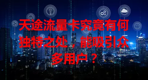 天途流量卡究竟有何独特之处，能吸引众多用户？