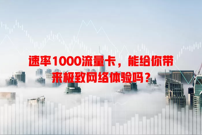 速率1000流量卡，能给你带来极致网络体验吗？
