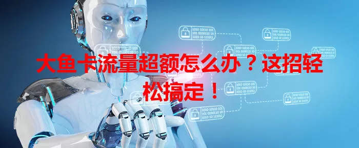 大鱼卡流量超额怎么办？这招轻松搞定！