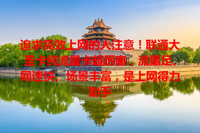 追求高效上网的人注意！联通大圣卡纯流量卡超厉害，流量足、网速快、场景丰富，是上网得力助手
