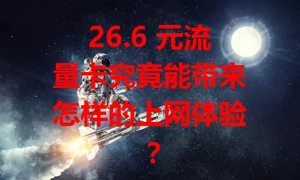 26.6 元流量卡究竟能带来怎样的上网体验？