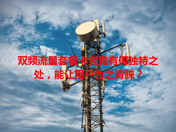 双频流量套餐卡究竟有何独特之处，能让用户为之青睐？