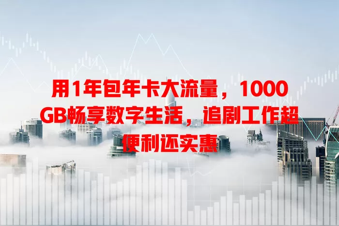 用1年包年卡大流量，1000GB畅享数字生活，追剧工作超便利还实惠