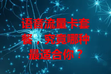 语音流量卡套餐，究竟哪种最适合你？