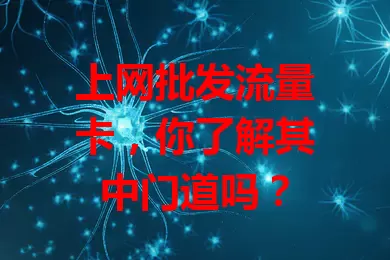 上网批发流量卡，你了解其中门道吗？