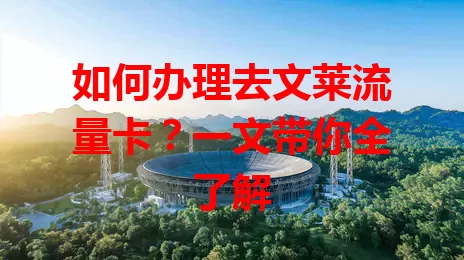 如何办理去文莱流量卡？一文带你全了解