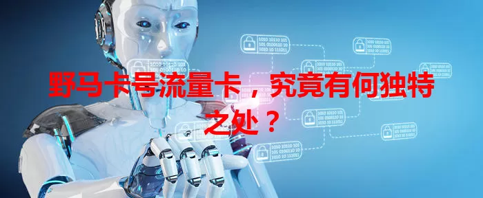 野马卡号流量卡，究竟有何独特之处？