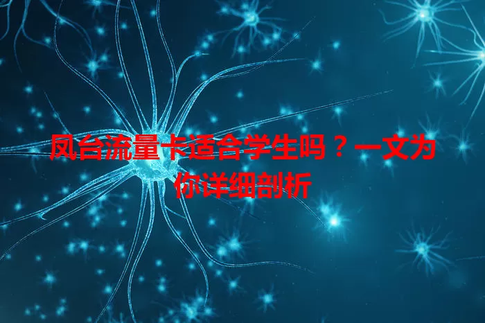 凤台流量卡适合学生吗？一文为你详细剖析