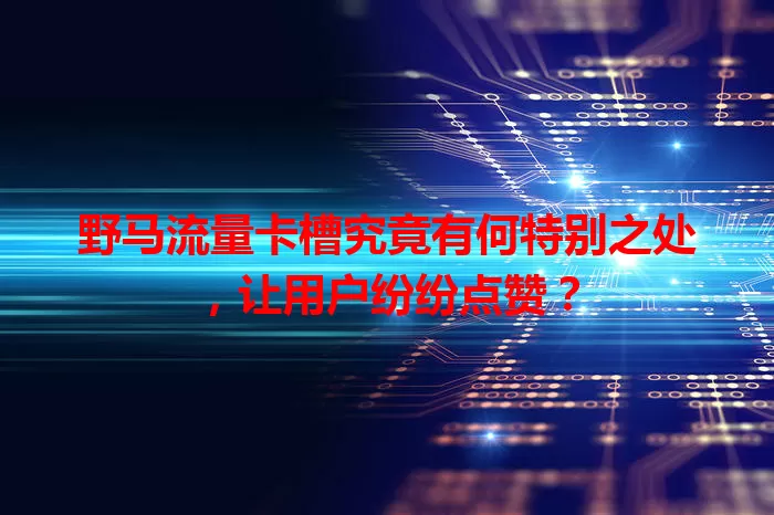 野马流量卡槽究竟有何特别之处，让用户纷纷点赞？