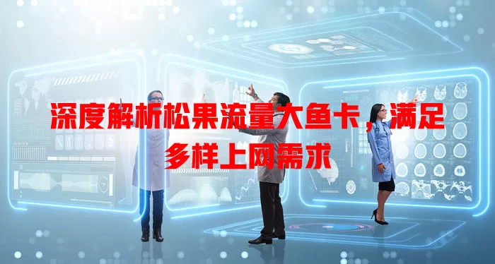 深度解析松果流量大鱼卡，满足多样上网需求