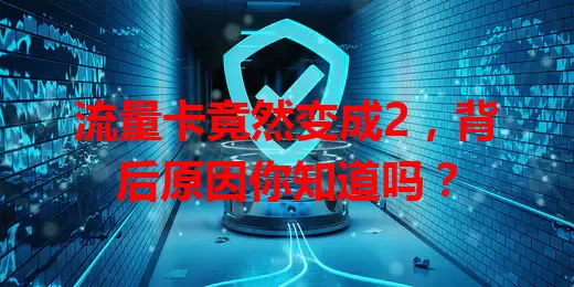 流量卡竟然变成2，背后原因你知道吗？