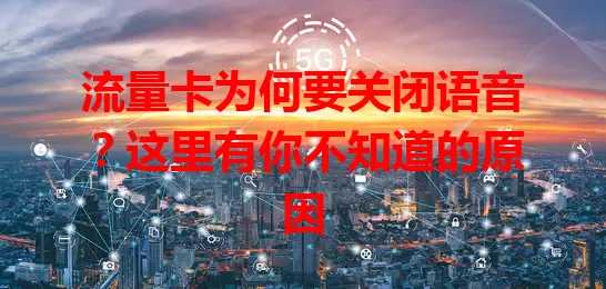 流量卡为何要关闭语音？这里有你不知道的原因