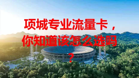 项城专业流量卡，你知道该怎么选吗？