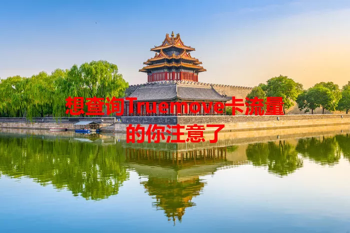 想查询Truemove卡流量的你注意了