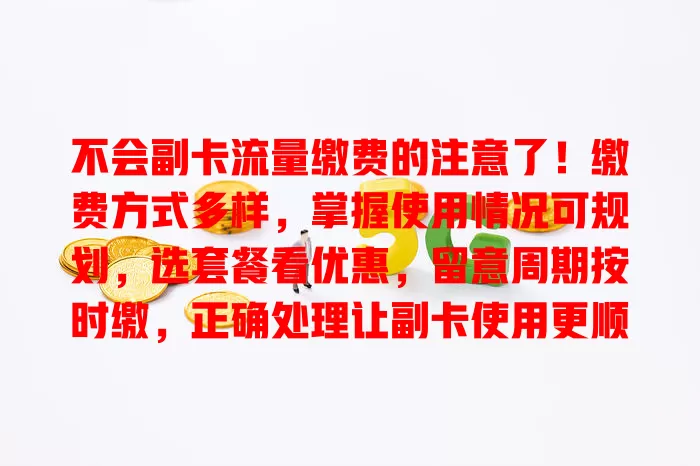 不会副卡流量缴费的注意了！缴费方式多样，掌握使用情况可规划，选套餐看优惠，留意周期按时缴，正确处理让副卡使用更顺畅