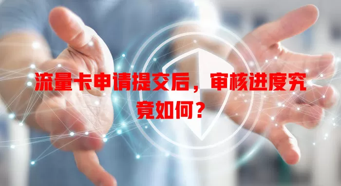 流量卡申请提交后，审核进度究竟如何？
