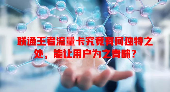 联通王者流量卡究竟有何独特之处，能让用户为之青睐？