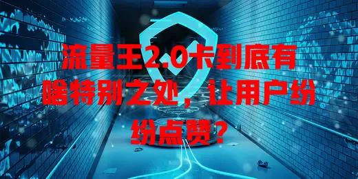 流量王2.0卡到底有啥特别之处，让用户纷纷点赞？