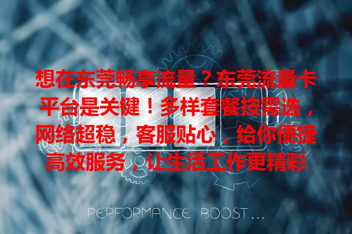 想在东莞畅享流量？东莞流量卡平台是关键！多样套餐按需选，网络超稳，客服贴心，给你便捷高效服务，让生活工作更精彩