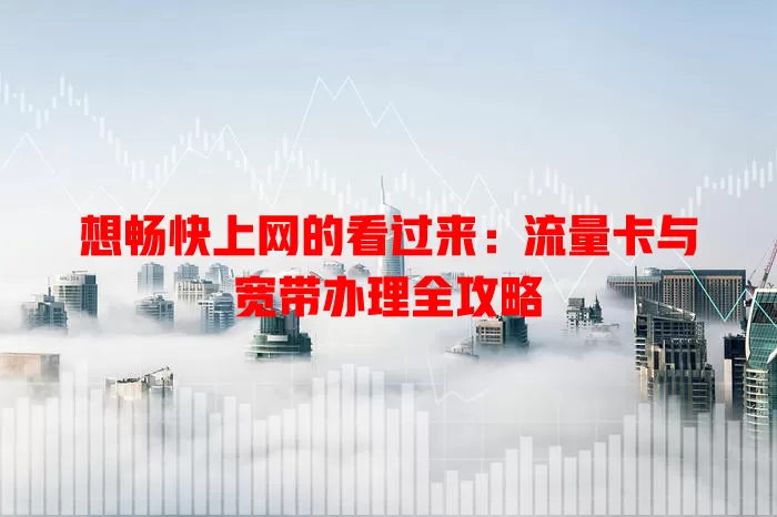 想畅快上网的看过来：流量卡与宽带办理全攻略