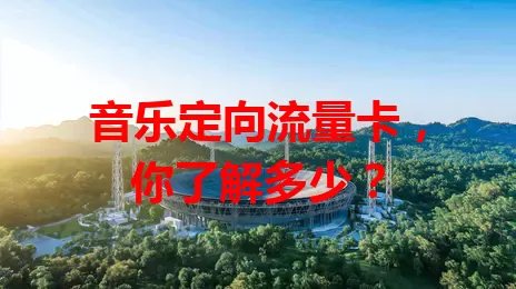 音乐定向流量卡，你了解多少？