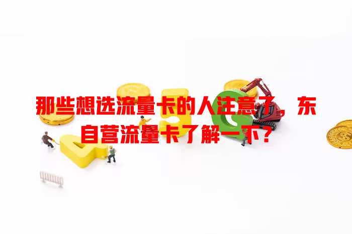 那些想选流量卡的人注意了，东自营流量卡了解一下？