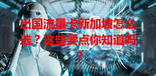 出国流量卡新加坡怎么选？这些要点你知道吗？