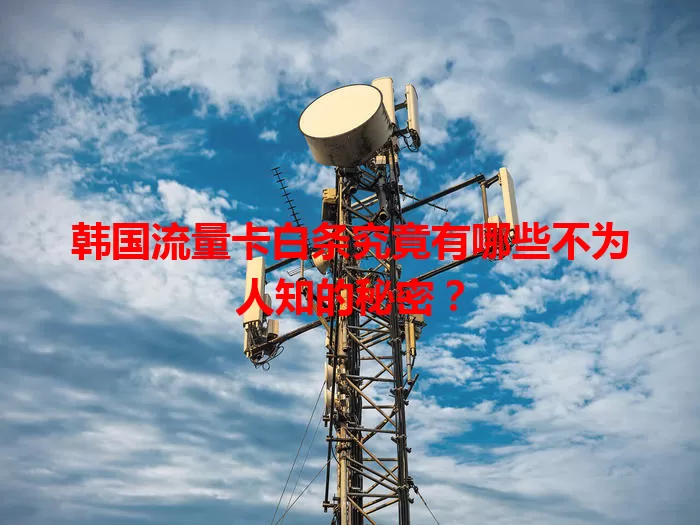 韩国流量卡白条究竟有哪些不为人知的秘密？