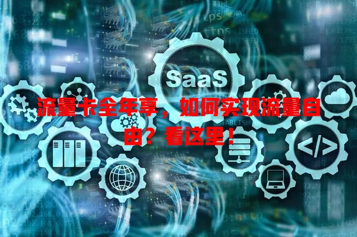 流量卡全年享，如何实现流量自由？看这里！
