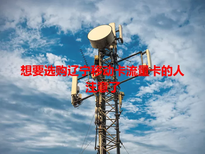 想要选购辽宁移动卡流量卡的人注意了