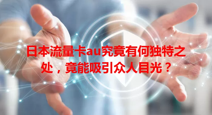 日本流量卡au究竟有何独特之处，竟能吸引众人目光？