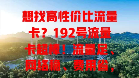 想找高性价比流量卡？192号流量卡超棒！流量足、网络稳、费用省，满足多样需求，解决流量烦恼！