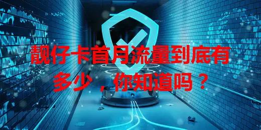 靓仔卡首月流量到底有多少，你知道吗？