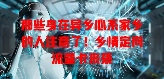 那些身在异乡心系家乡的人注意了！乡情定向流量卡来袭