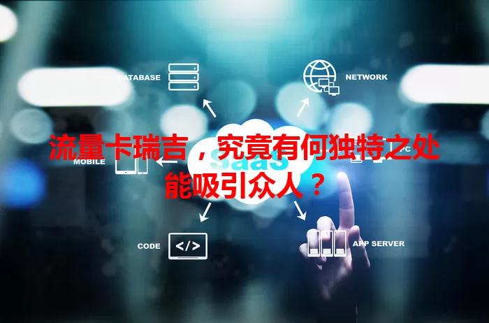 流量卡瑞吉，究竟有何独特之处能吸引众人？