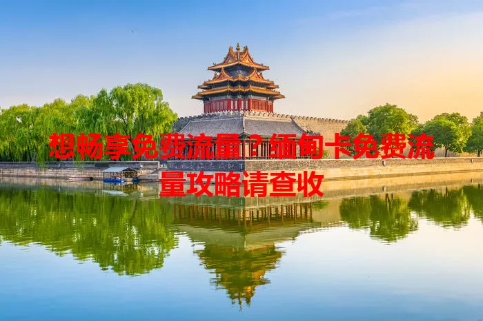 想畅享免费流量？缅甸卡免费流量攻略请查收