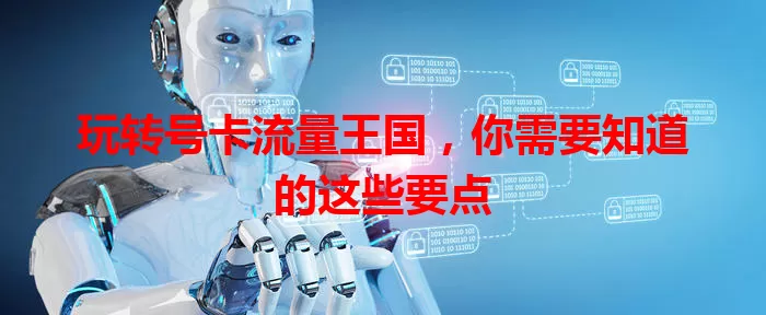 玩转号卡流量王国，你需要知道的这些要点