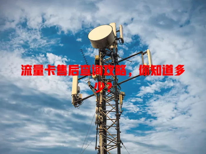 流量卡售后查询攻略，你知道多少？