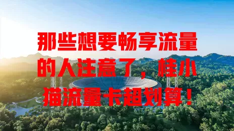 那些想要畅享流量的人注意了，桂小猫流量卡超划算！