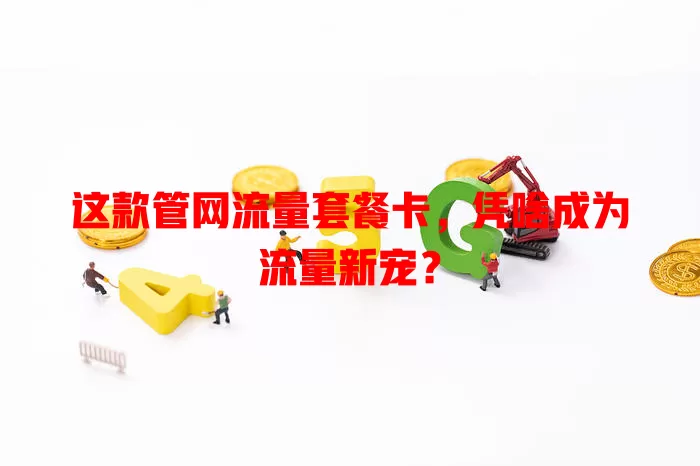 这款管网流量套餐卡，凭啥成为流量新宠？