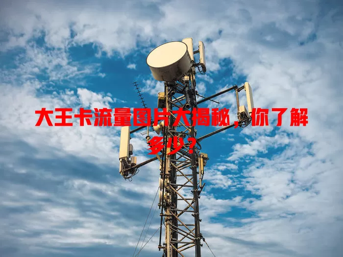 大王卡流量图片大揭秘，你了解多少？