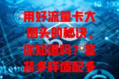 用好流量卡大圆头的秘诀，你知道吗？套餐多样适配多设备，操作简单网络稳，还有使用要点要留意，掌握这些畅享网络生活