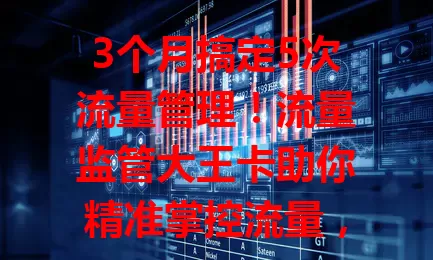 3个月搞定5次流量管理！流量监管大王卡助你精准掌控流量，避免超支，优化习惯，畅享数字生活
