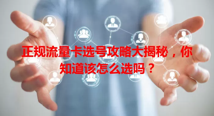 正规流量卡选号攻略大揭秘，你知道该怎么选吗？