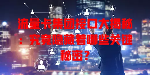 流量卡集团接口大揭秘：究竟隐藏着哪些关键秘密？