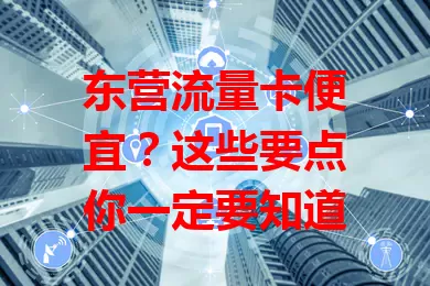 东营流量卡便宜？这些要点你一定要知道
