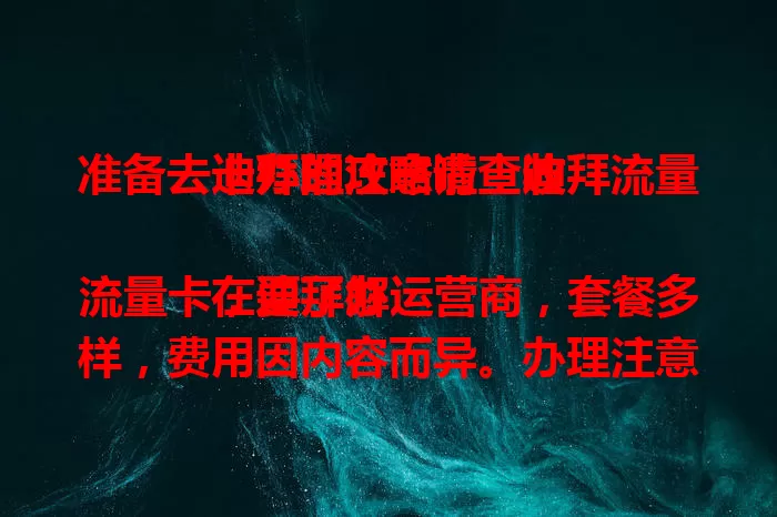 准备去迪拜的注意啦！迪拜流量卡办理攻略请查收

在迪拜办流量卡，要了解运营商，套餐多样，费用因内容而异。办理注意身份信息等细节，提前准备，让你在迪拜随时畅连网络，分享精彩旅程 。