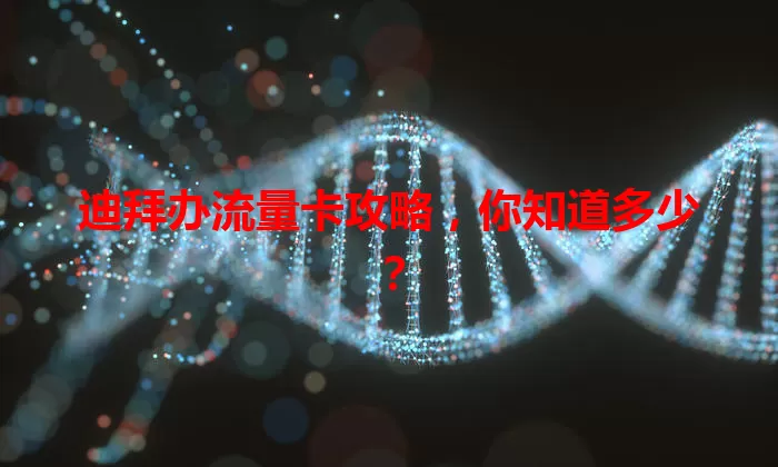 迪拜办流量卡攻略，你知道多少？